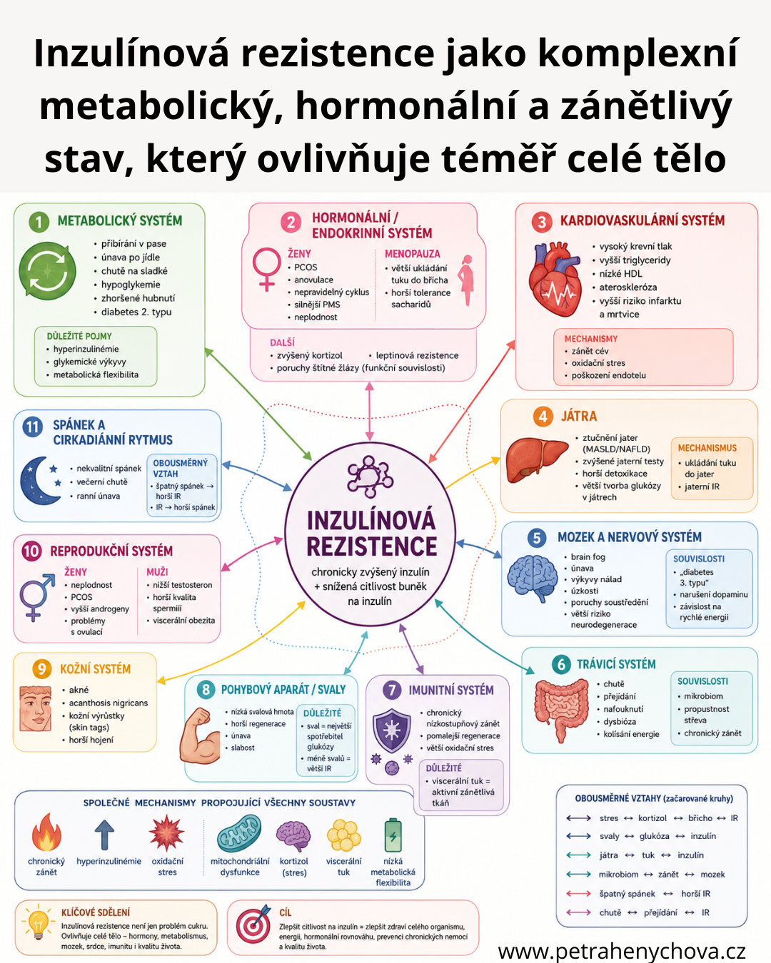 inzulínová rezistence příčiny a důsledky