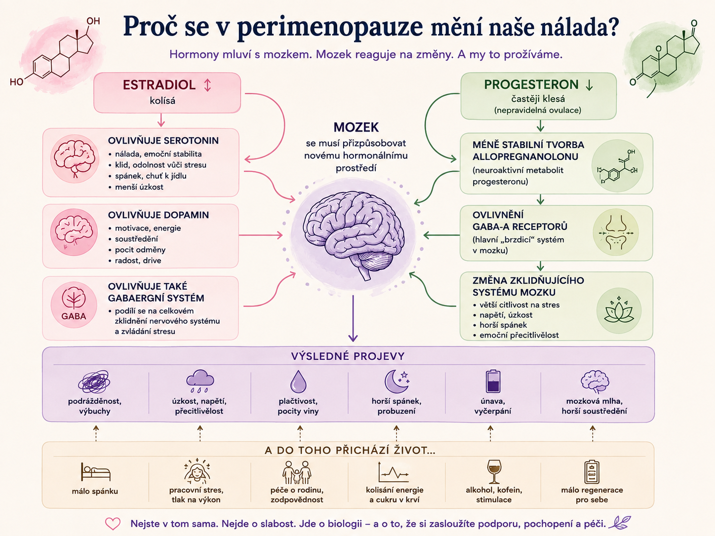 hormonální větve (estradiol a progesteron) a výsledné projevy